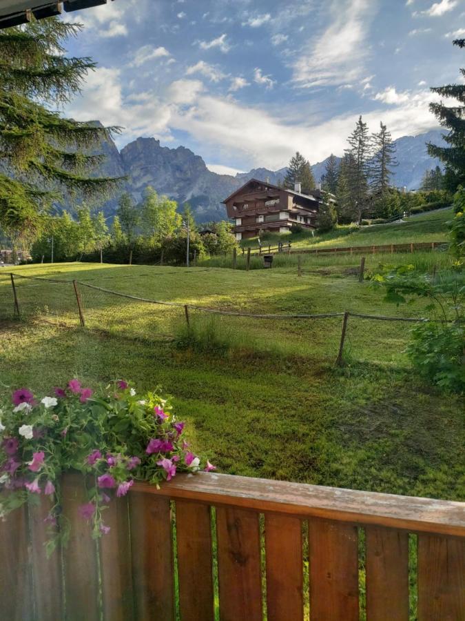 Appartamento Cortina 1956 كورتينا دامبيتزو المظهر الخارجي الصورة